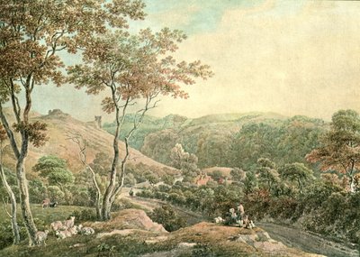 Castello di Drusllwyn, Caermarthenshire, c1900 da Unbekannt