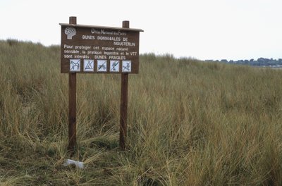 Pannello di protezione delle dune da Unbekannt