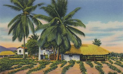 Capanni indiani orientali, Trinidad, B.W.I., anni 
