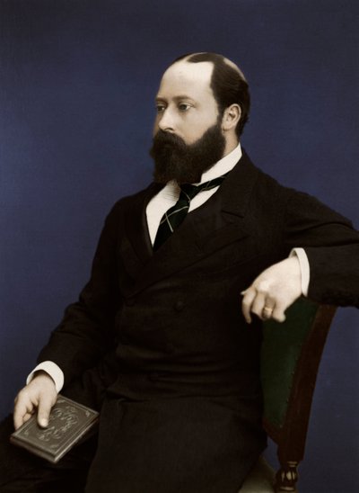 Edoardo VII allora Principe di Galles, 1876 da Unbekannt