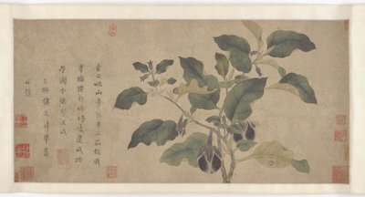 Melanzana, dinastia Yuan o Ming, XIV secolo da Unbekannt