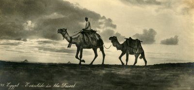 Egitto - Sera nel deserto, c1918-c1939 da Unbekannt