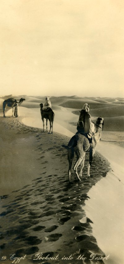 Egitto - Veduta nel deserto, c1918-c1939 da Unbekannt