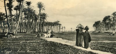 Egitto - Donne native, c1918-c1939 da Unbekannt
