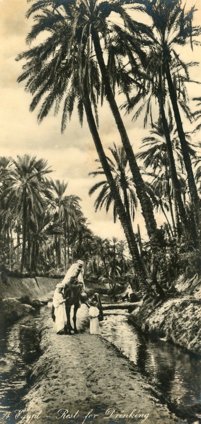 Egitto - Riposo per bere, c1918-c1939 da Unbekannt
