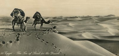 Egitto - Il mare di terra nel deserto, c1918-c1939 da Unbekannt