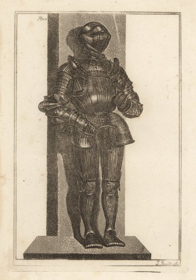Elegante armatura scanalata portata da Lord Warwick dalla Germania da Unbekannt