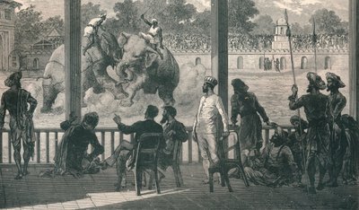 Combattimento di elefanti a Baroda, 1896 da Unbekannt
