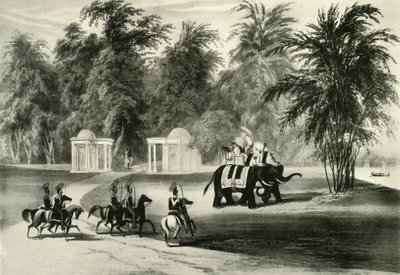 Elefanti e guardia del corpo nel Parco di Barrackpore, 1820, 1925 da Unbekannt