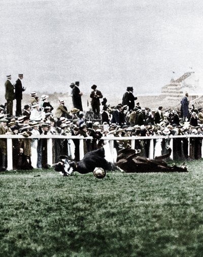 Emily Davison che si getta davanti al cavallo del re durante il Derby, Epsom, Surrey da Unbekannt