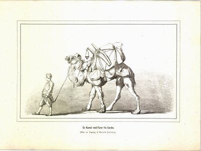 Un cammello con guida da Sardi. Illustrazione tratta dal libro Brogede rejsebilleder di Jerichau-Baumann, Elisabeth e pubblicato da Forlagsbureauet (Copenaghen, 1881) da Unbekannt