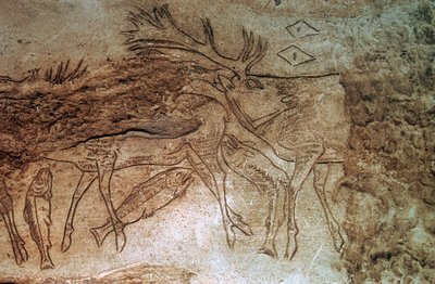 Osso inciso da Lortet, Alti Pirenei da Unbekannt