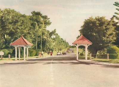 Ingresso a Kings Park, c1947 da Unbekannt