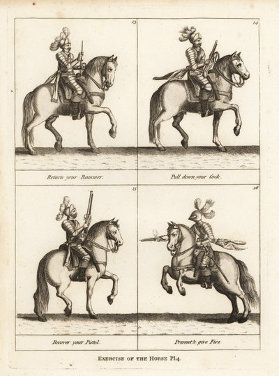 Esercizio del cavallo da Unbekannt