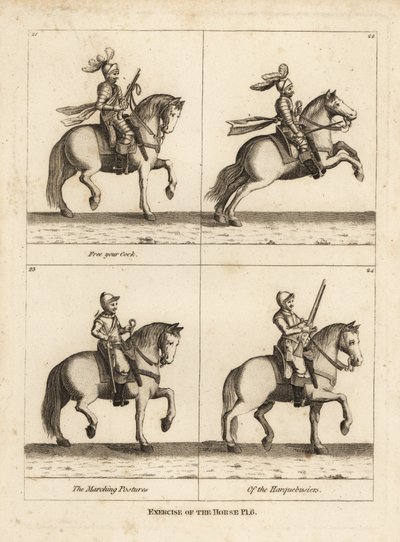 Esercizi a cavallo da Unbekannt