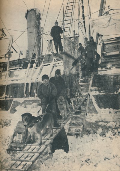Esercitare i cani, 1936 da Unbekannt