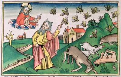 Esodo 8:20-32: Mosè e lo sciame di mosche, una delle Sette Piaghe d