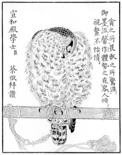 Falco, 1886 da Unbekannt