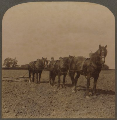 Agricoltura in Inghilterra - Erpicatura del terreno, 1909 da Unbekannt
