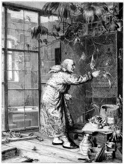 Nutrire gli animali domestici, 1880 da Unbekannt