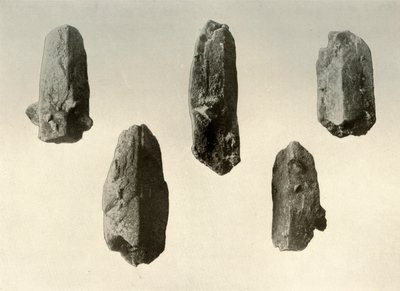Cristalli di feldspato dalla cima del Monte Erebus Dimensione naturale, 1909 da Unbekannt