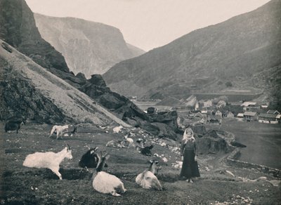 Flaam, 1914 da Unbekannt