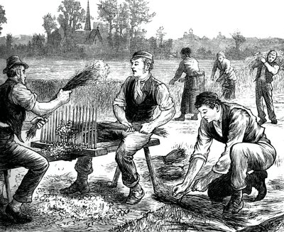 Pettinatura del lino, c1880 da Unbekannt