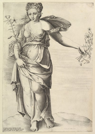 Flora da Unbekannt