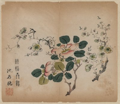 Prunus in fiore da Unbekannt