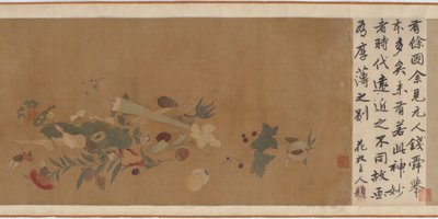 Fiori, frutta, conchiglie e insetti da Unbekannt