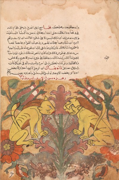 Folio da un Kalila wa Dimna, 18° secolo da Unbekannt