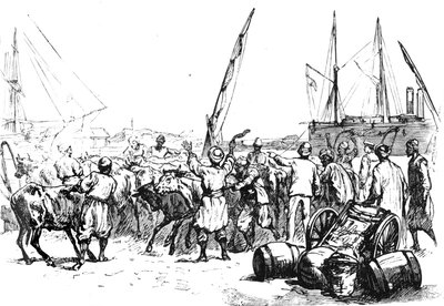 Cibo per le truppe: sbarco del bestiame a Port Said, c1882 da Unbekannt
