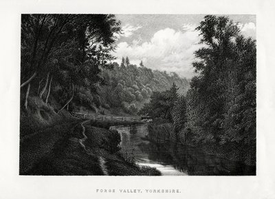 Valle di Forge, Yorkshire, 1896 da Unbekannt