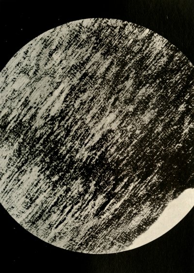 Legno fossile in arenaria, da una morena a latitudine 85° Sud, c1908 da Unbekannt