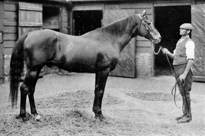 Foxhall, 1880-1904, 1911 da Unbekannt