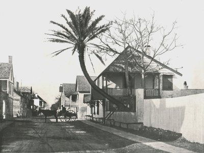 Francis Street, St Augustine, USA, 1895 da Unbekannt