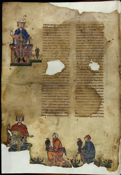 Federico II. De Arte Venandi cum Avibus Sull