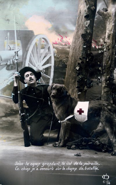 Cartolina francese della Prima Guerra Mondiale, 1914-1918 da Unbekannt