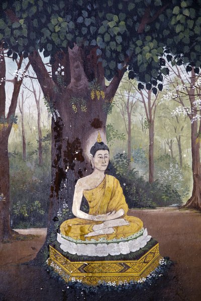 Affresco che raffigura una scena della vita del Buddha nel Wat Phra Doi Suthep, Chiang Mai. Buddha che medita sotto un albero. Thailandia da Unbekannt