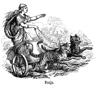 Freya Frigg dea dell