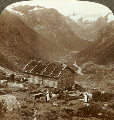 Dalla locanda di montagna a Vidde saeter giù per la valle di Vidde - Monte Skaala in lontananza a destra, c1905 da Unbekannt