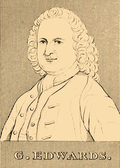 G. Edwards, 1694-1773, 1830 da Unbekannt