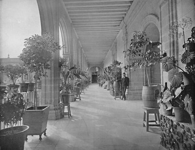 Galleria della Scuola di LA Paz Vizeainas, Città del Messico, c1897 da Unbekannt