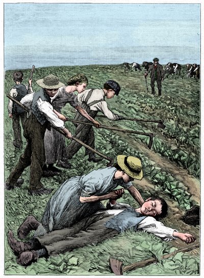 Sistema di lavoro minorile, c1885 da Unbekannt