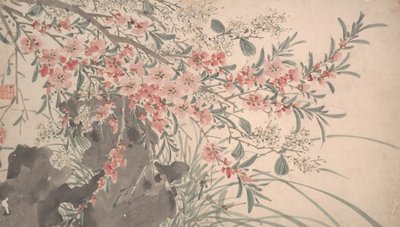 Fiori da giardino, datato 1540 da Unbekannt