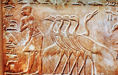 Oche, rilievo murale dalla tomba di Ptahhotep, Saqqara, Egitto, XXIV secolo a.C. da Unbekannt