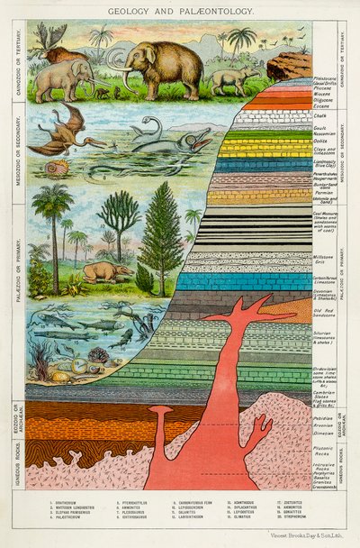 Geologia e Paleontologia, c1880 da Unbekannt