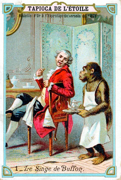 George-Louis Leclerc, Conte di Buffon, naturalista francese del XVIII secolo, c1890 da Unbekannt