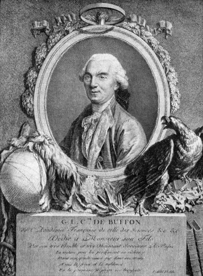 Georges-Louis Leclerc, Conte di Buffon, naturalista francese, XVIII secolo da Unbekannt