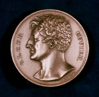 Georges Leopold Chretien Frederic Dagobert, Barone Cuvier, anatomista francese, XIX secolo da Unbekannt